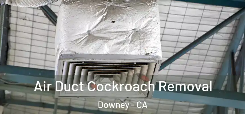  Air Duct Cockroach Removal Downey - CA