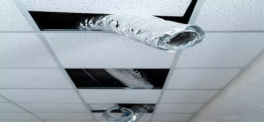 Affordable HVAC Sanitizing After Pest Removal in Downey