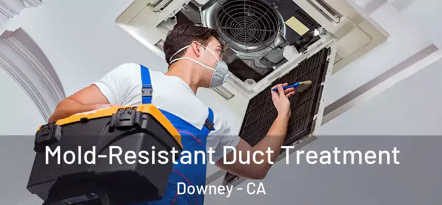  Mold-Resistant Duct Treatment Downey - CA