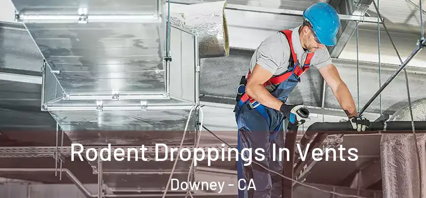  Rodent Droppings In Vents Downey - CA