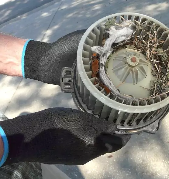 About Air Duct Rat Removal in Downey, CA