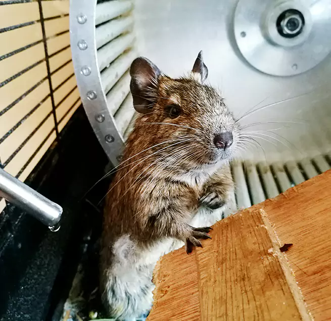 Why Homeowners & Businesses Trust Us Downey, CA