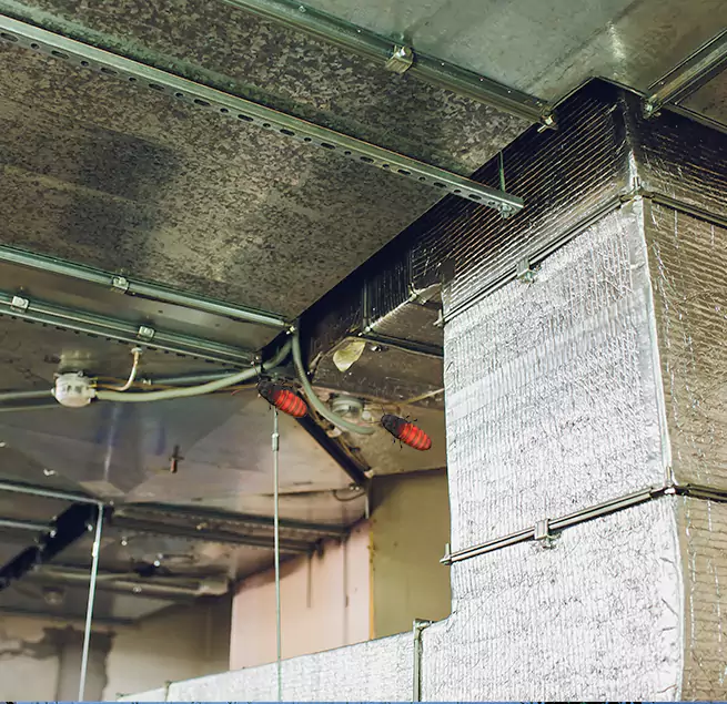 Why Homeowners & Businesses Trust Us Downey, CA?